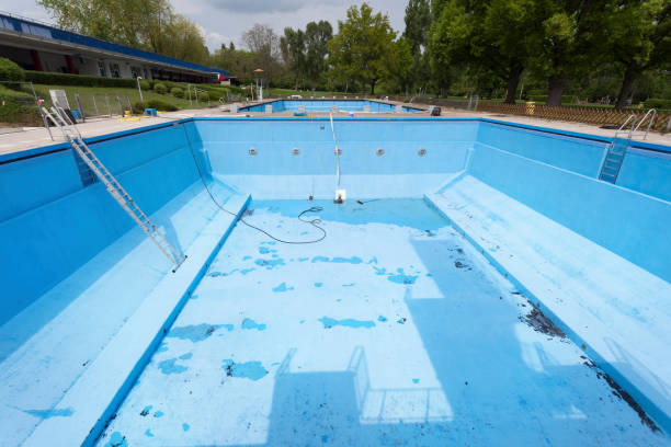 Best Flood restoration services  in Dallas, TX
