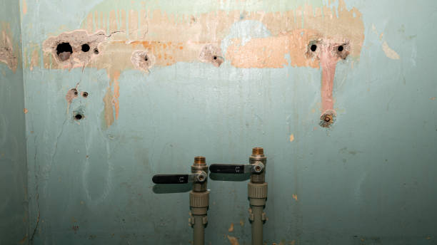 Best 24/7 water damage repair  in Dallas, TX
